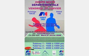 Coupe mixte, échelon départemental